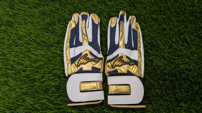 アイピーセレクト アルモニーアバッティング手袋  Ip.261