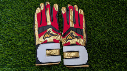 アイピーセレクト アルモニーアバッティング手袋  Ip.261